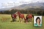 kalendář - koně